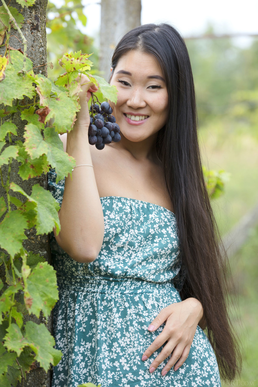 Grapes 7