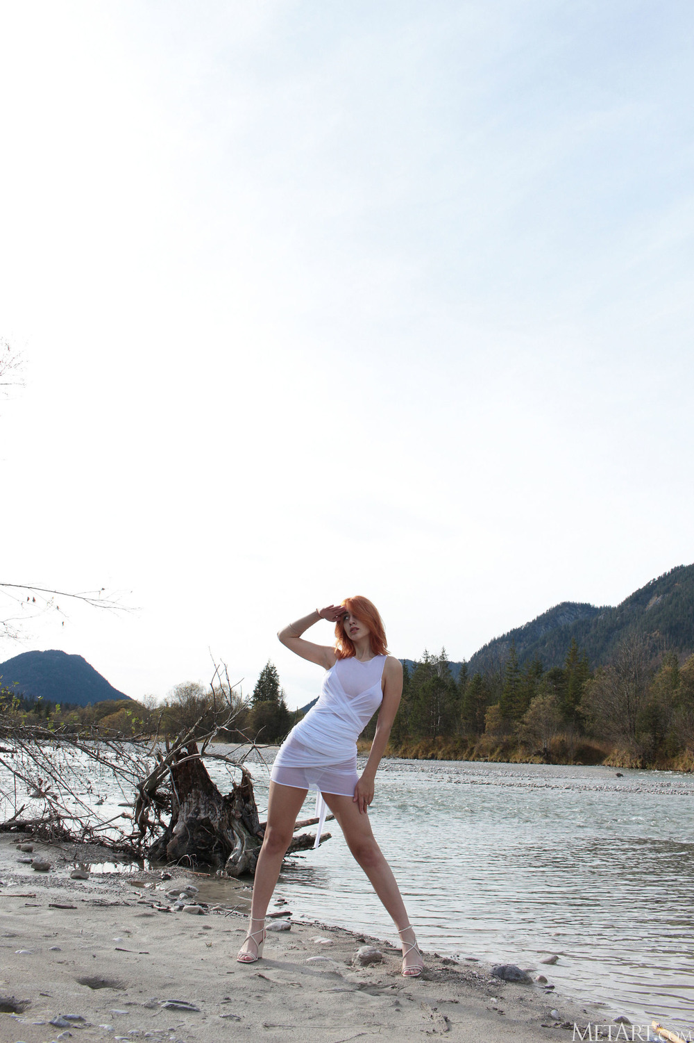 Wild Beauty 1