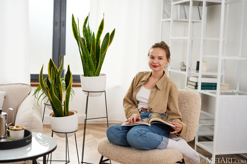 The Girl Next Door 3