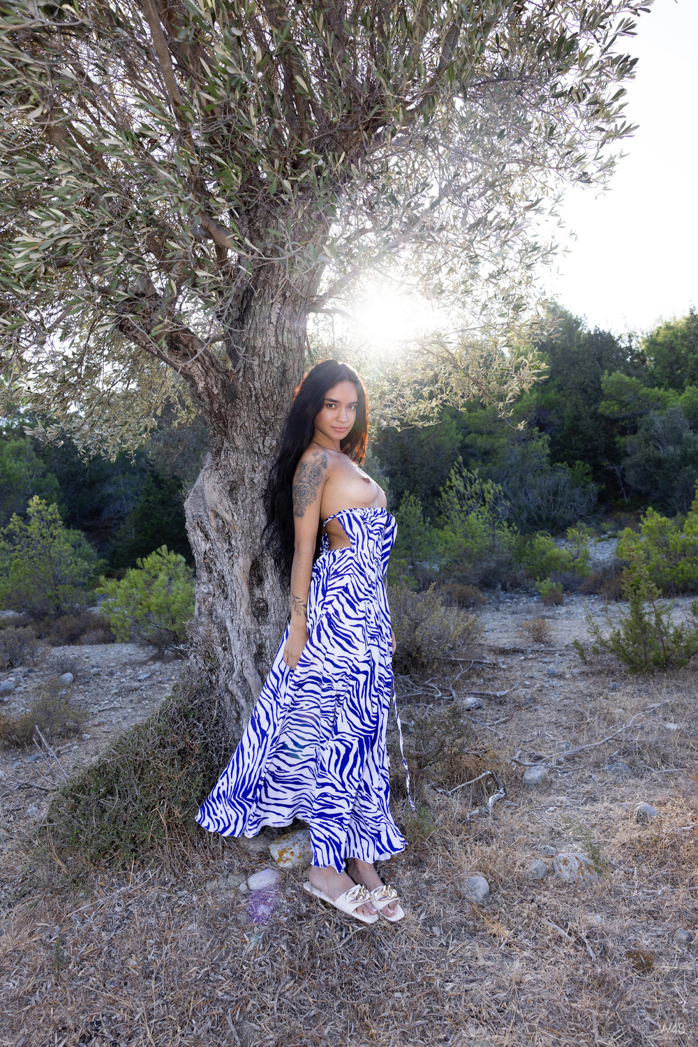 Sexy At Sunset 7